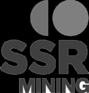 Silver Standard Logo