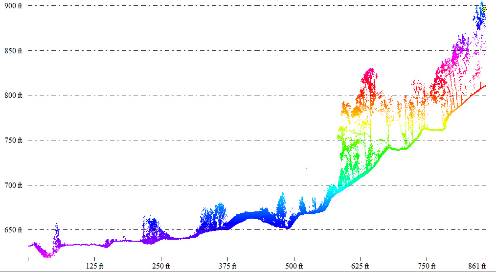 cross-section